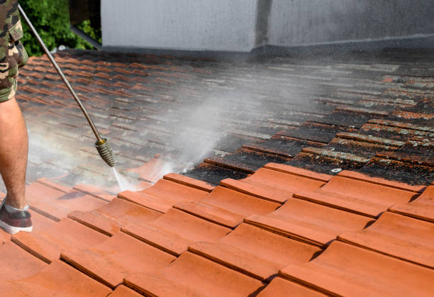 Best Concrete Pressure Washing  in Brownfield, TX
